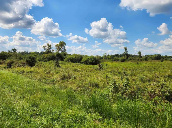 Healy Rd, Cambria, WI 53923