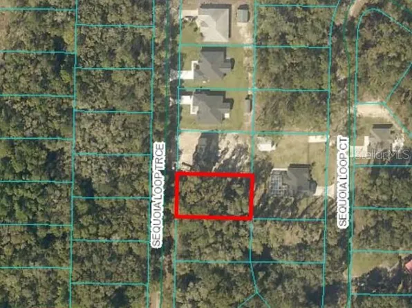 17 Sequoia Trce Lot 18, Ocklawaha, FL 32179