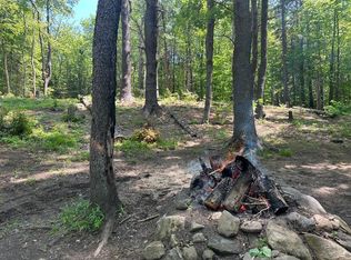 232 Deer Hill Rd, Whitingham, VT 05361