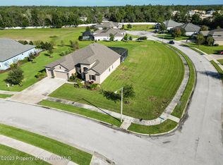 1111 Buckhurst Dr, Spring Hill, FL 34609