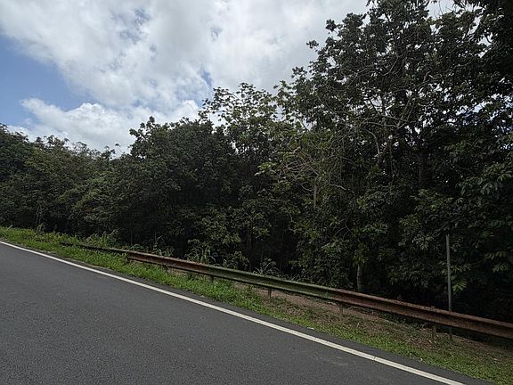 4th image of 2.13 Carretera 808