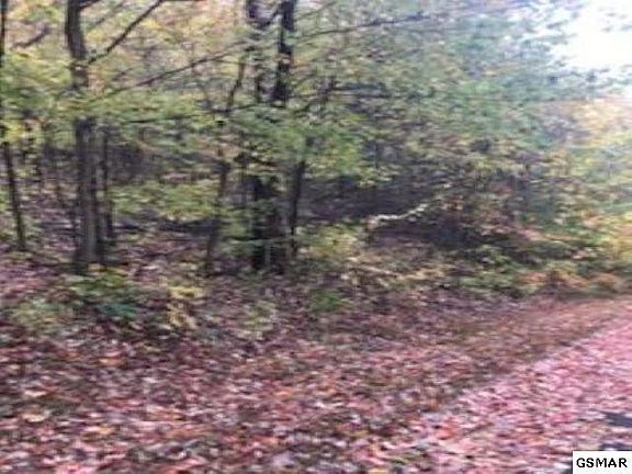 3rd image of 11 Lexy Ln Lot 11