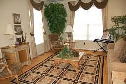 Sun Filled Living Room