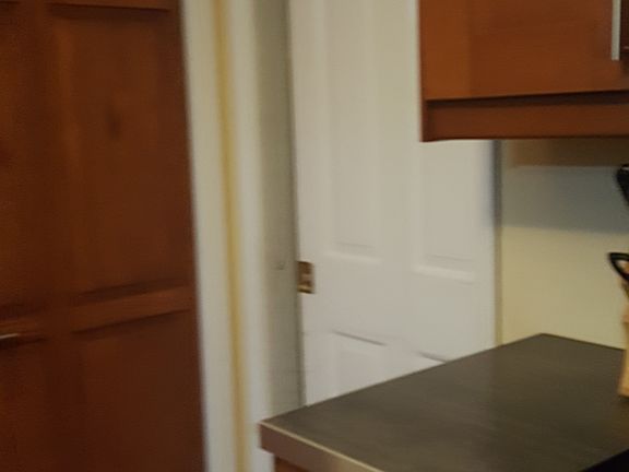 Pocket door and pantry