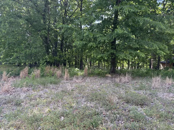 120 Kiki Cv, Clifton, TN 38425
