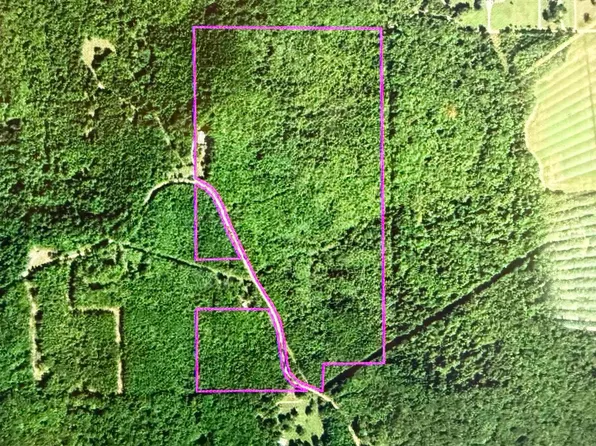 County Road 9, Moulton, AL 35650