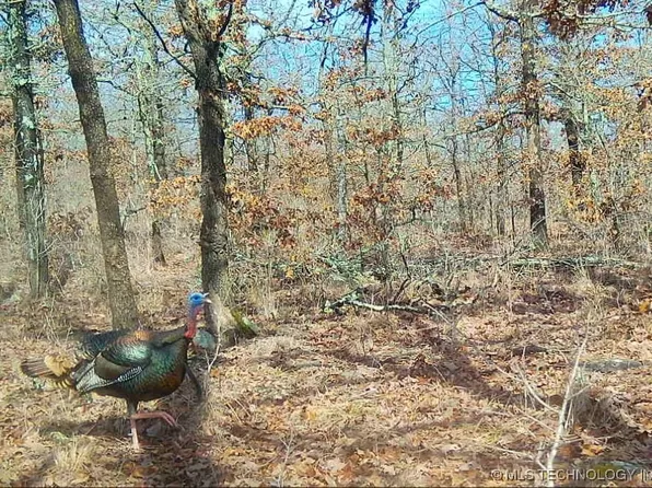 County Road 1170, Weleetka, OK 74880