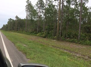 800 County Rd #204, Hastings, FL 32145