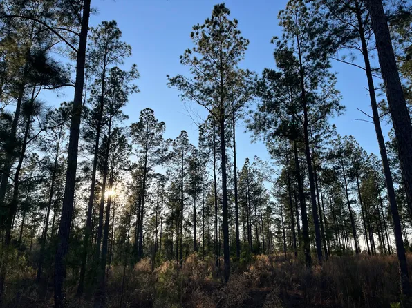 0 White Pond Rd, Windsor, SC 29856