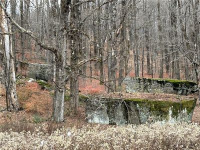 Upper Punchbowl Rd, Roscoe, NY, 12776
