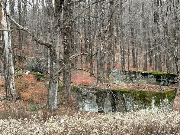 Upper Punchbowl Rd, Roscoe, NY 12776