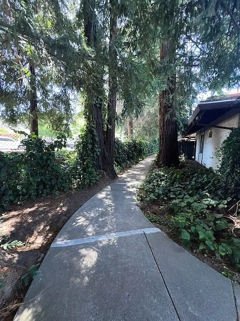 3464 Willis Dr — Photo 3
