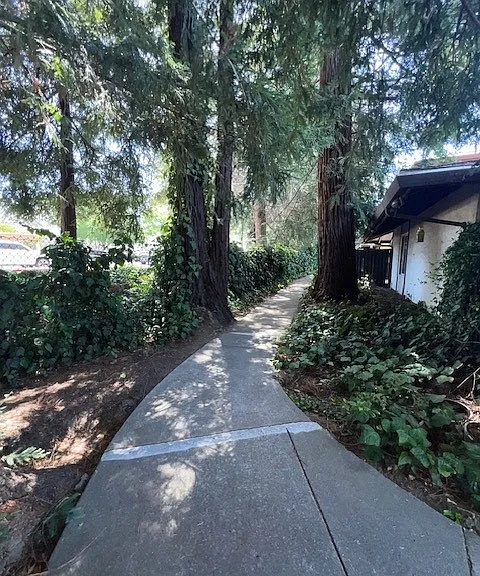 3464 Willis Dr — Photo 3