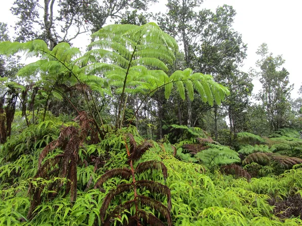 Nahelenani St Lot 53-B-567, Volcano, HI 96785