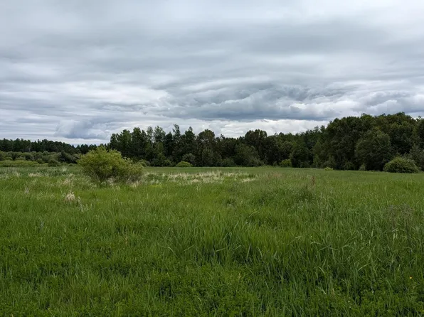10211 Leander Rd, Angora, MN 55703