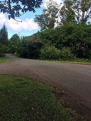 2nd image of Diamond Head Dr Lot 716