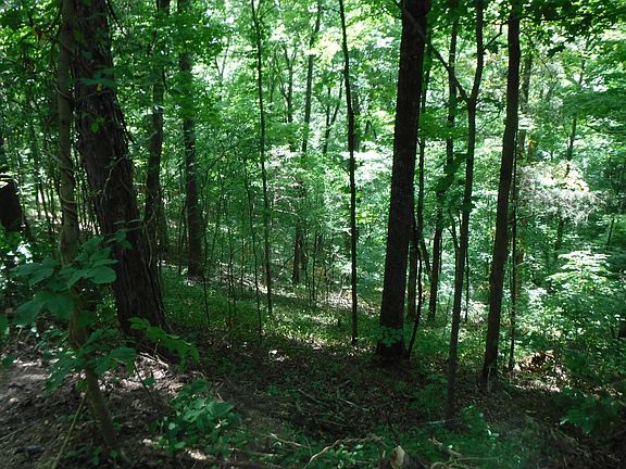 5th image of 32.51A Gentry Ln
