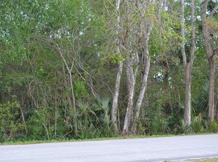 461 E Blue Springs Ave, Orange City, FL 32763