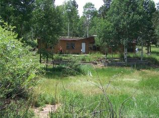 167 Knighthood Ln, Divide, CO