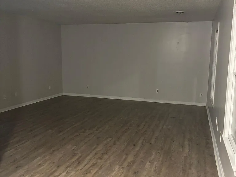 Large Living Room