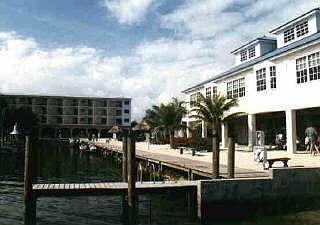 1st image of 500 Burton Dr #2407