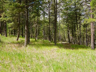 50 Skyview Dr, Rexford, MT, 59930