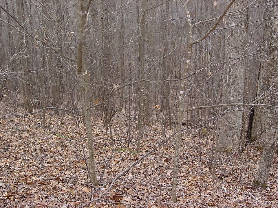 2nd image of 17 Roaring Rdg