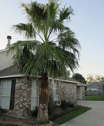 3rd image of 13485 Prairie Dr