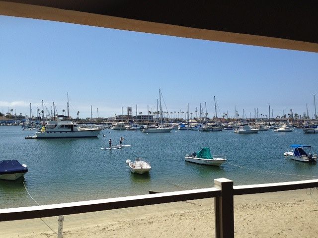 Amazing daily view from Living Room!