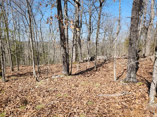 000 Powell Blvd Lot 9, Cedar Creek, MO 65627