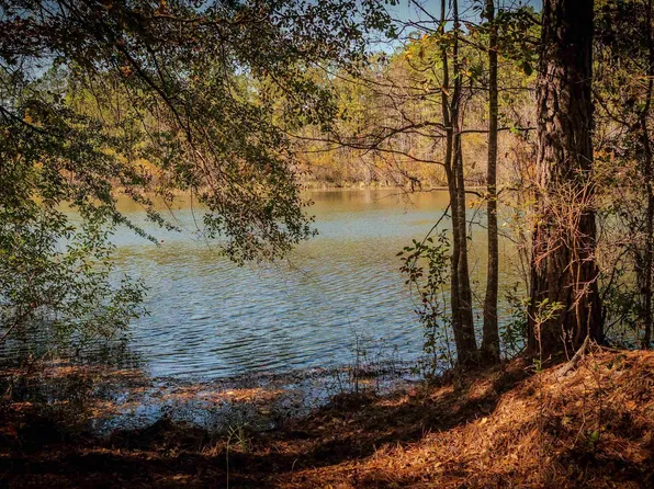 1446 Avera Rd, Roberta, GA 31078