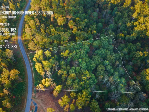 162 Lecroy Dr, Ellijay, GA 30540