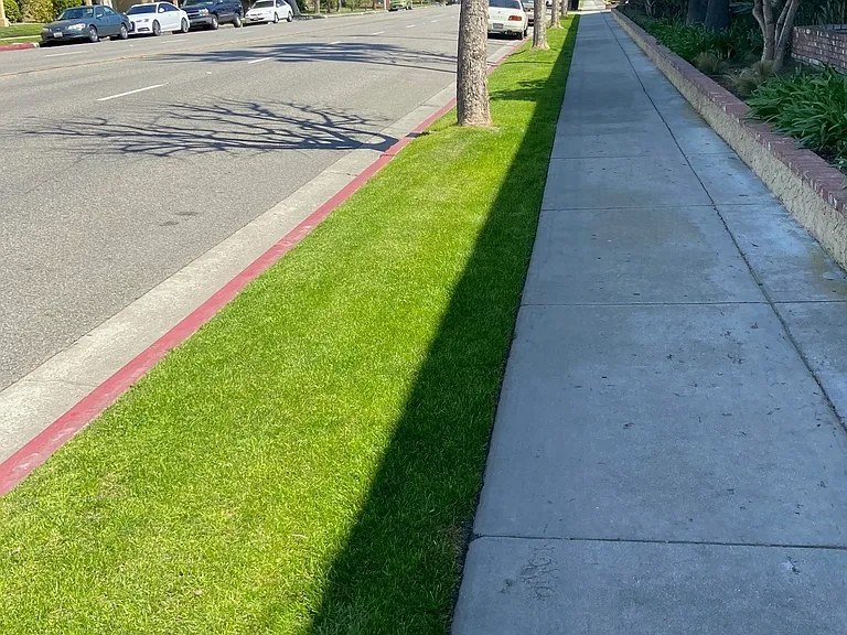 Somerset Street View