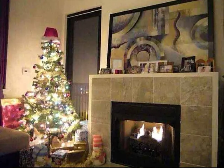 1464 S Michigan Ave #1106 — Photo 9
