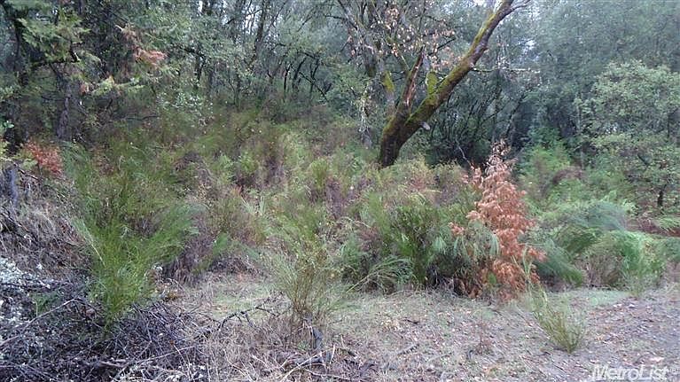 2nd image of 5563 Vacation Blvd