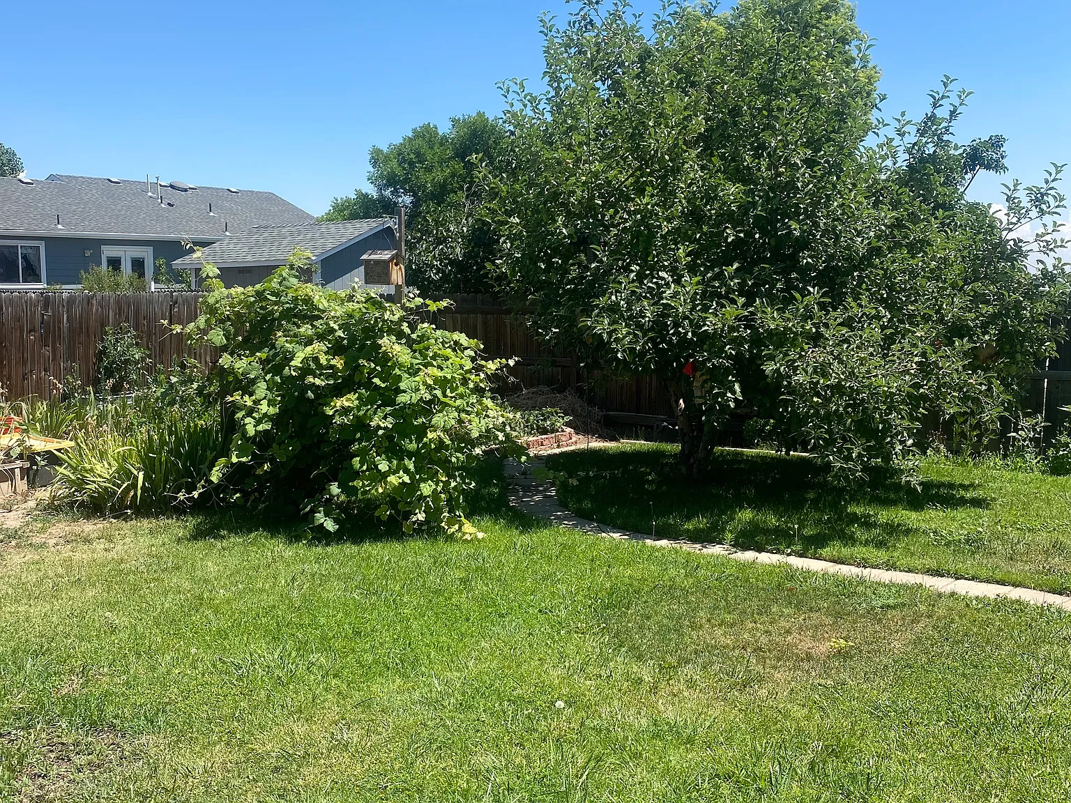E Mountain Ash St, Milliken — Photo 4