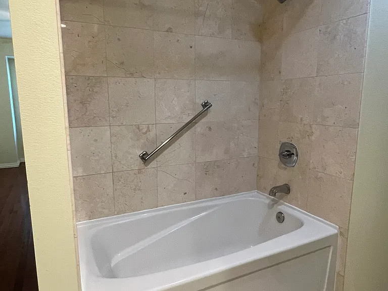 Master Bathroom Tub