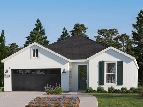 Papyrus Plan, Marcona Preserve : Calligraphy Series