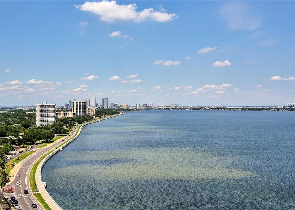 1st image of 3203 Bayshore Blvd Unit 1601