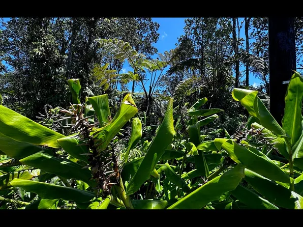 Alii Koa St Lot 550, Volcano, HI 96785