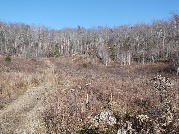 4th image of 291 State Highway 589