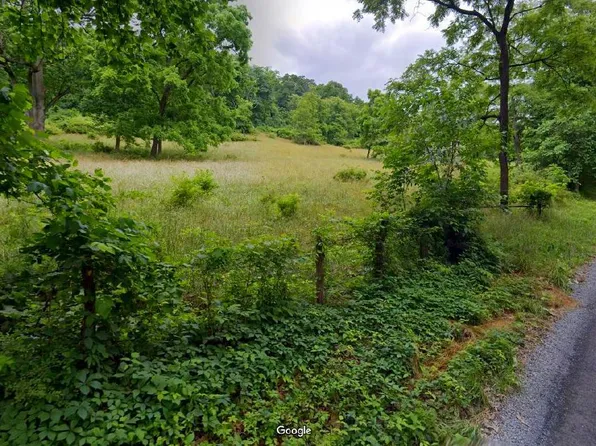 310 Burnt Church Rd, Winchester, VA 22603