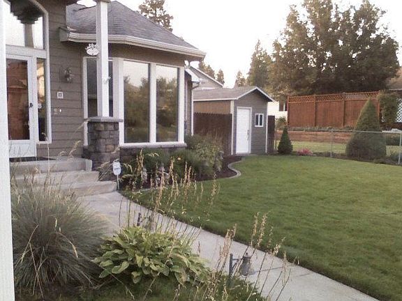 New windows and shed