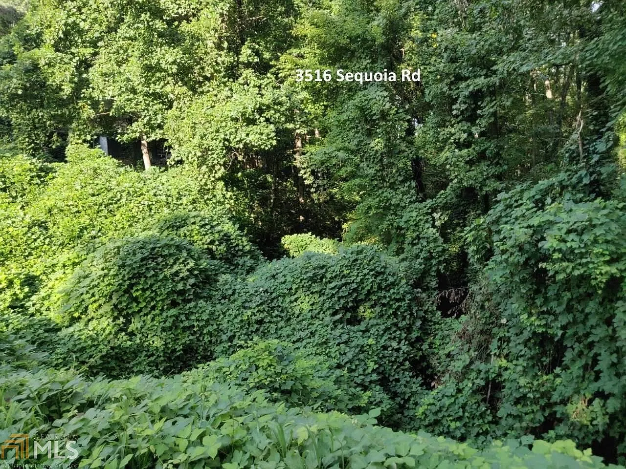 3516 Sequoia Rd photo 1