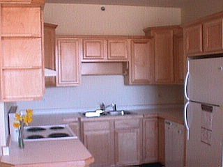 Modern Oak Cabinets in Kitchen
