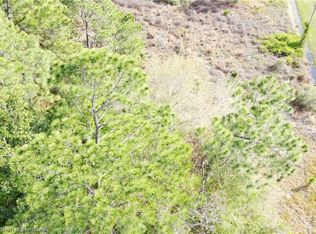 2116 S Larsen Rd, Avon Park, FL 33825