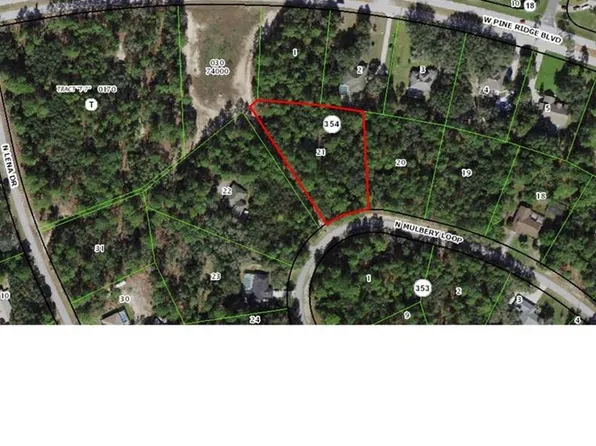 4911 N Mulberry LOOP, BEVERLY HILLS, FL 34465