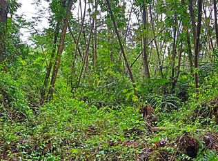 Ginger Rd Lot 504, Pahoa, HI 96778