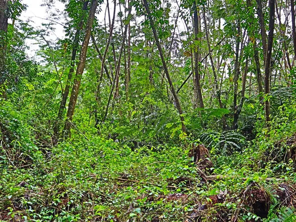 Ginger Rd Lot 504, Pahoa, HI 96778