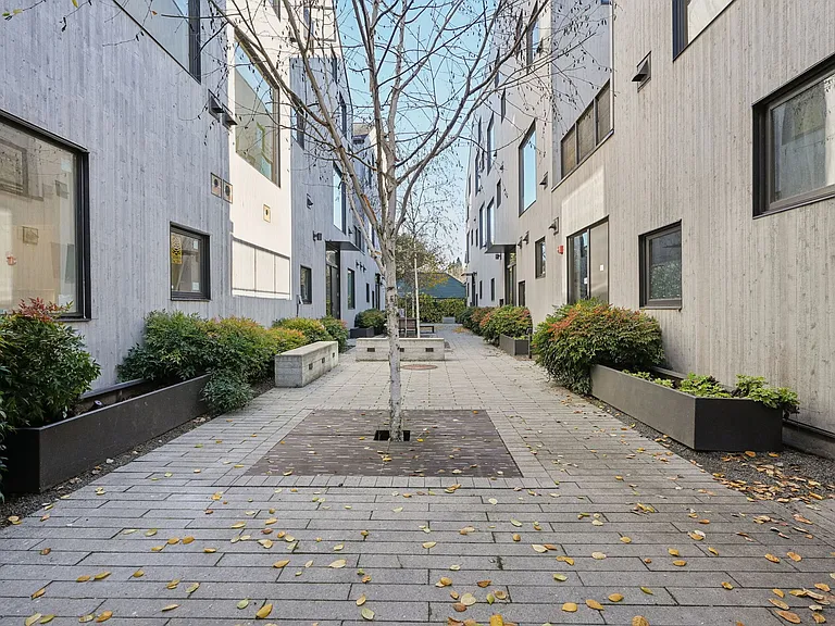 Shared courtyard area